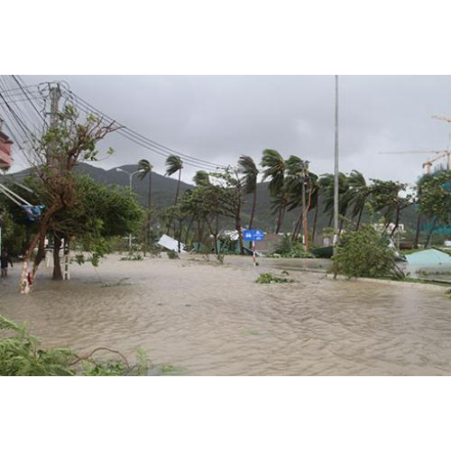 Tính đến cuối ngày 7-11, Khánh Hòa có 40 người chết do bão số 12